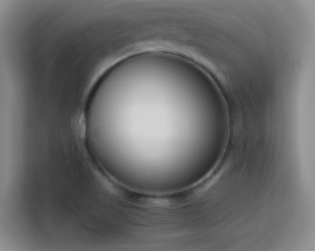 X0000113751509200909301021