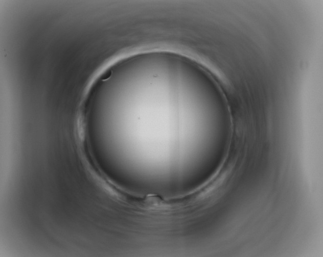 X0000113751510200909301021