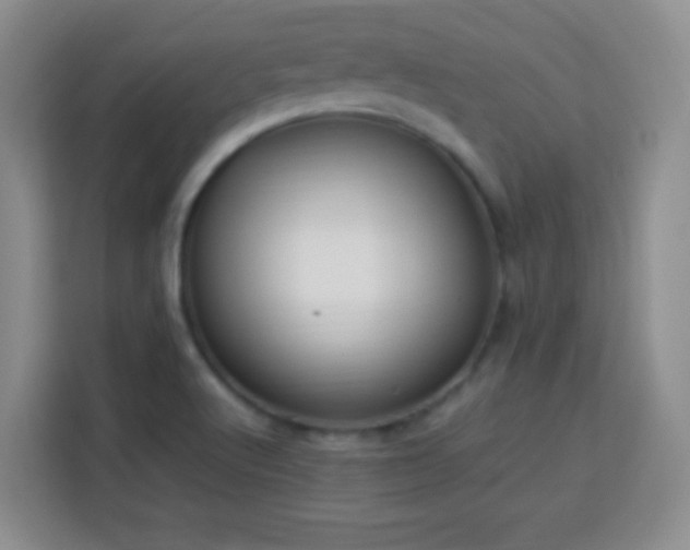 X0000113751512200909301021