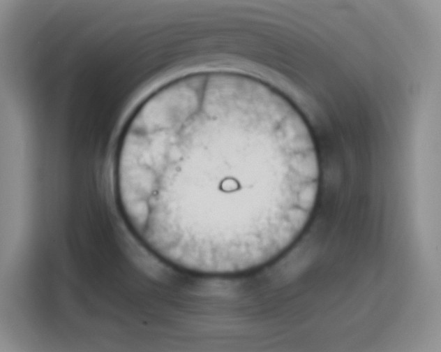 X0000113751514200909301021