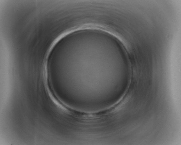 X0000113751515200909301021