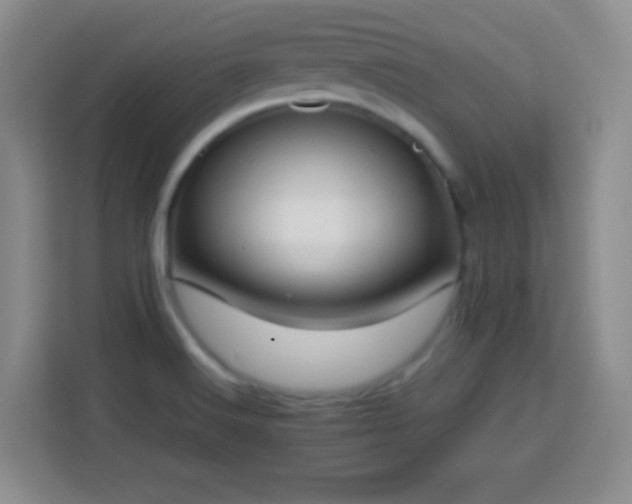 X0000113751516200909301021
