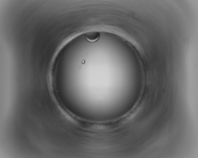 X0000113751517200909301021