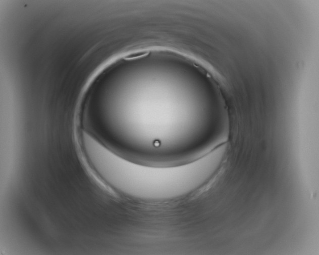 X0000113751518200909301021