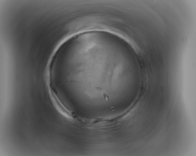 X0000113751519200909301021