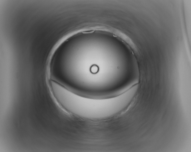 X0000113751520200909301021