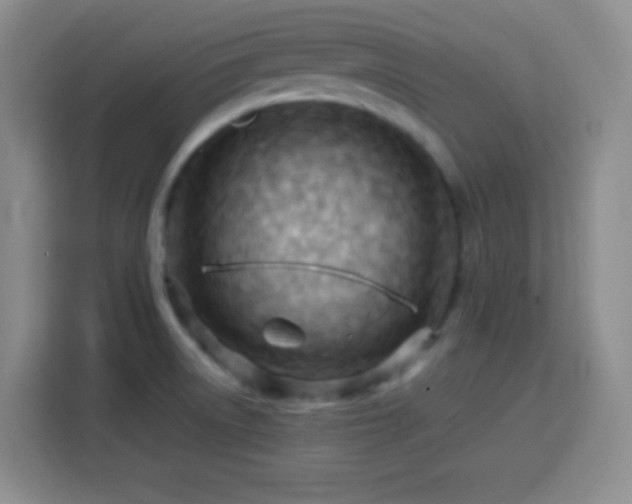 X0000113751522200909301021