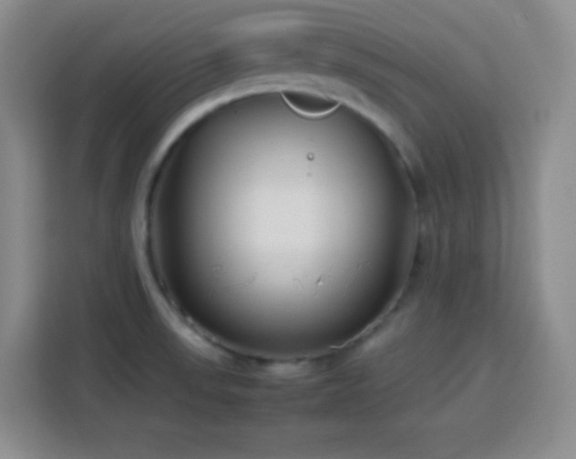 X0000113751523200909301021