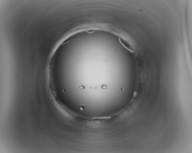 X0000113751524200909301021