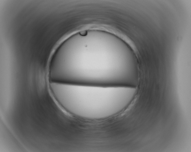 X0000113751525200909301021