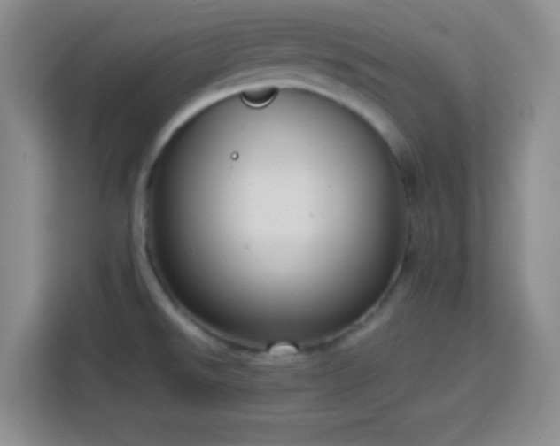 X0000113751526200909301021