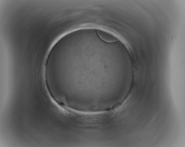 X0000113751527200909301021