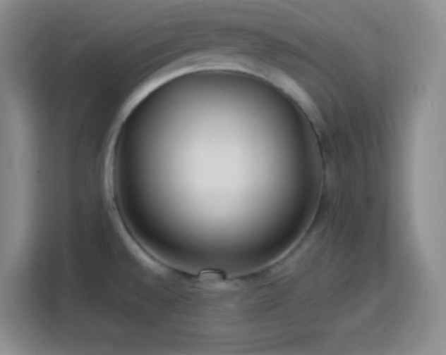 X0000113751528200909301021