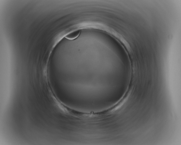 X0000113751529200909301021