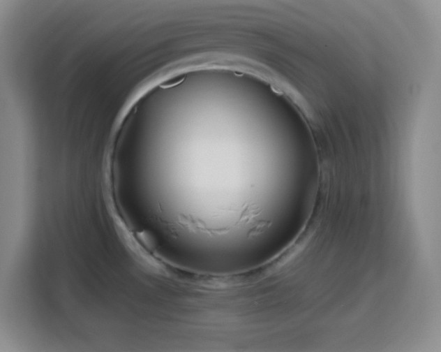 X0000113751530200909301021