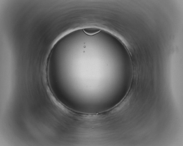 X0000113751534200909301021