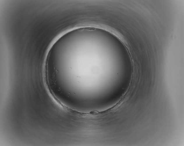 X0000113751536200909301021