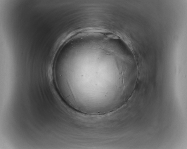 X0000113750002200910071115