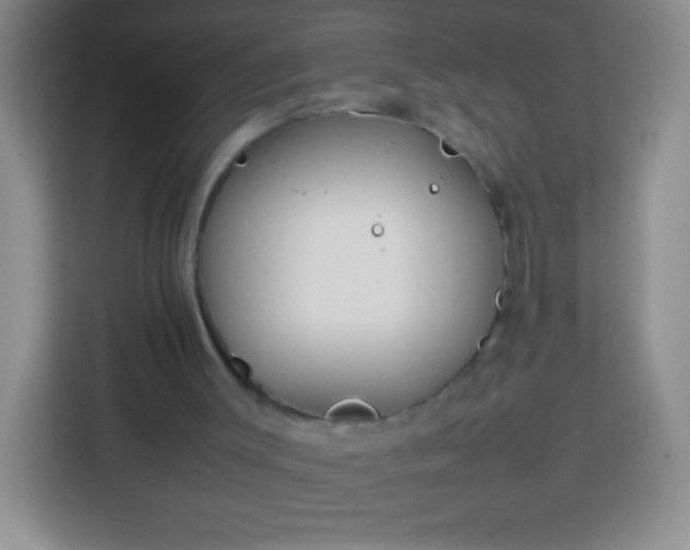 X0000113750003200910071115