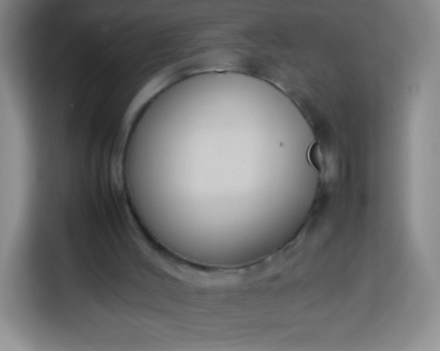 X0000113750004200910071115