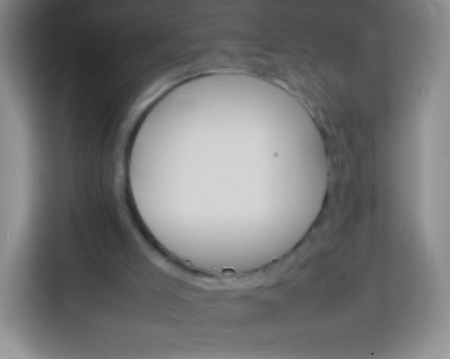 X0000113750005200910071115