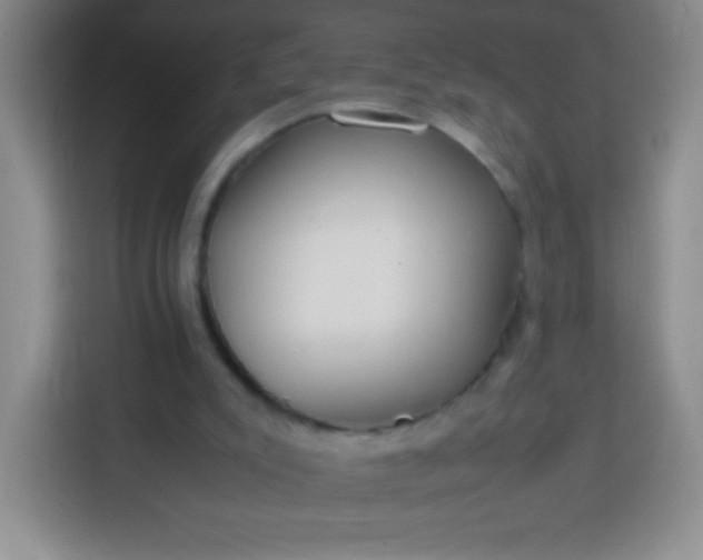 X0000113750007200910071115