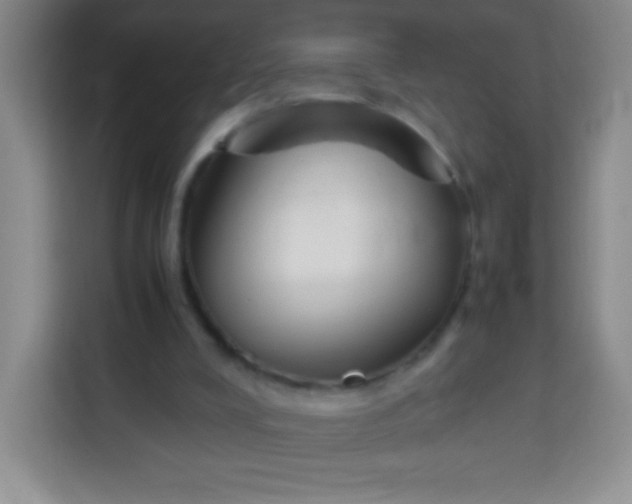 X0000113750008200910071115