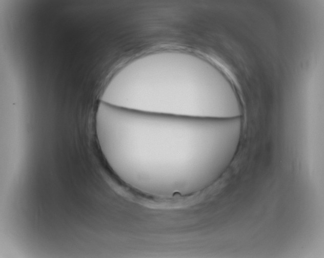 X0000113750009200910071115