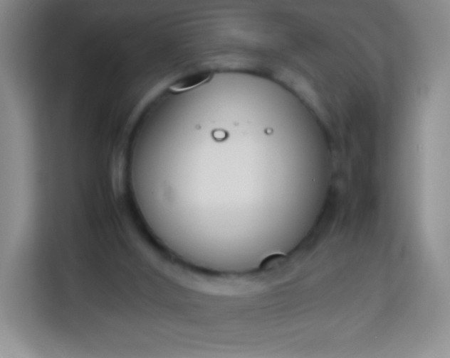 X0000113750012200910071115