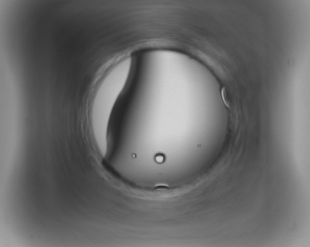 X0000113750015200910071115