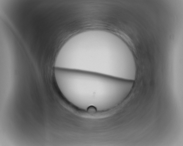 X0000113750017200910071115