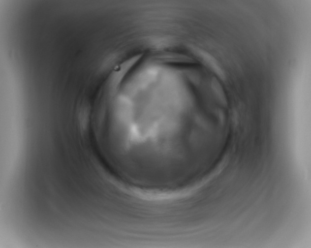 X0000113750018200910071115