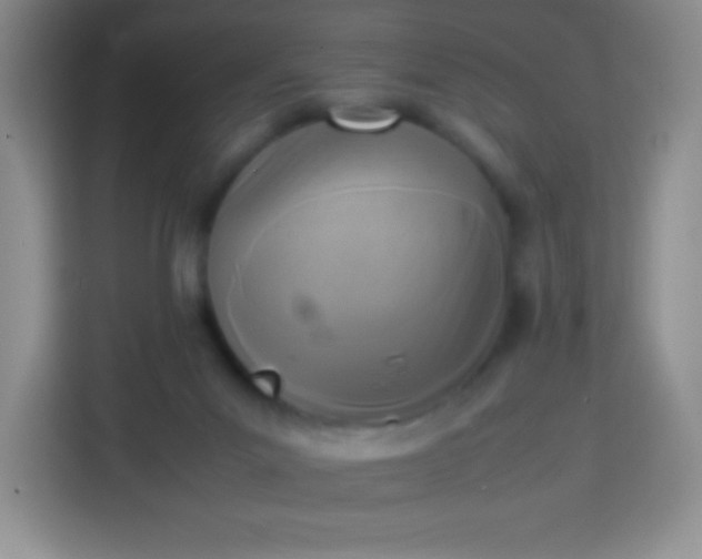 X0000113750023200910071115