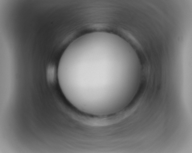 X0000113750024200910071115