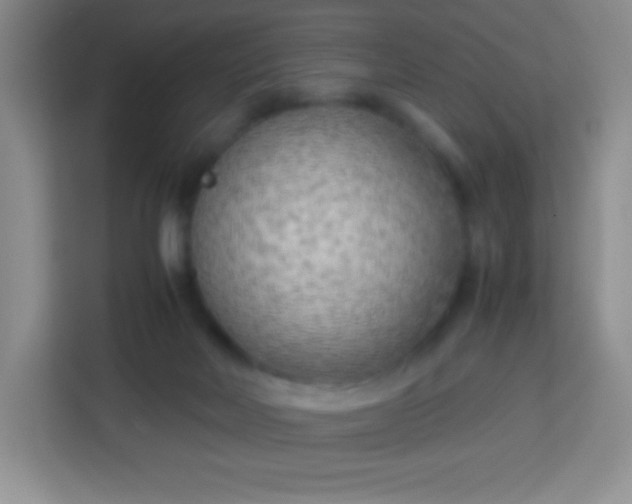 X0000113750026200910071115