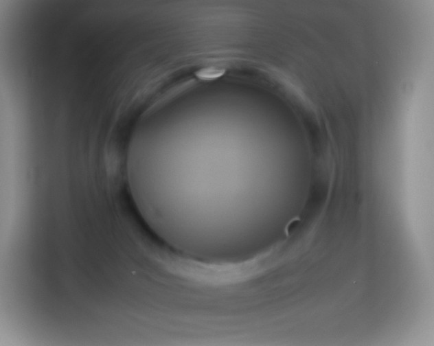 X0000113750031200910071115