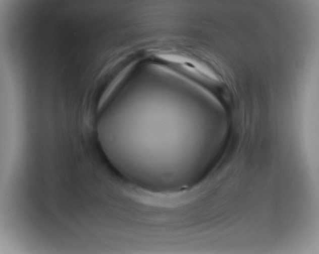 X0000113750035200910071115