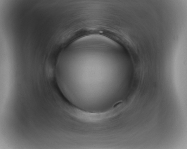 X0000113750039200910071115