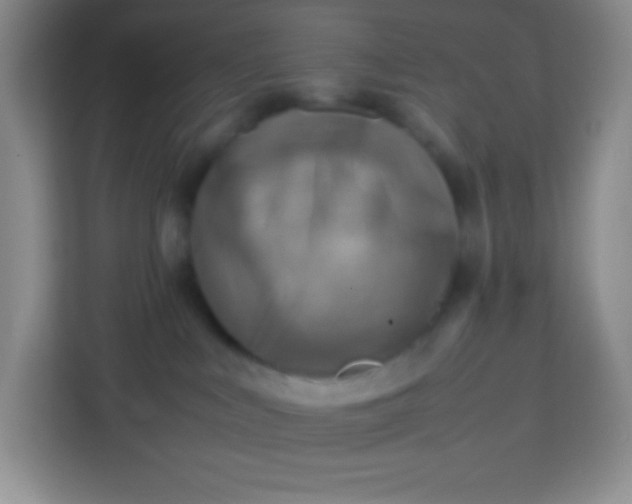 X0000113750043200910071115