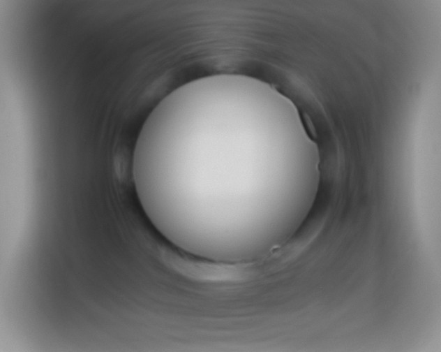 X0000113750044200910071115