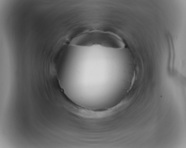 X0000113750048200910071115