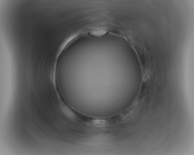 X0000113750052200910071114