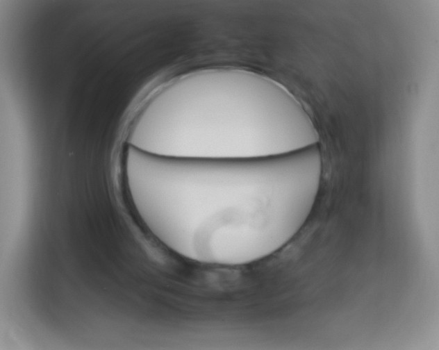 X0000113750053200910071114