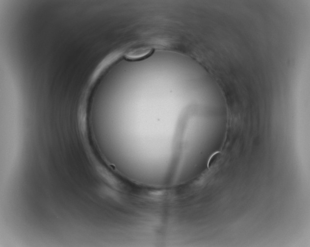 X0000113750054200910071114