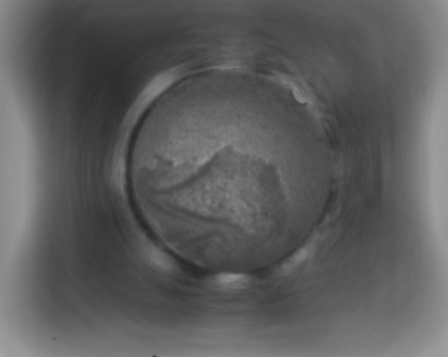 X0000113750055200910071114