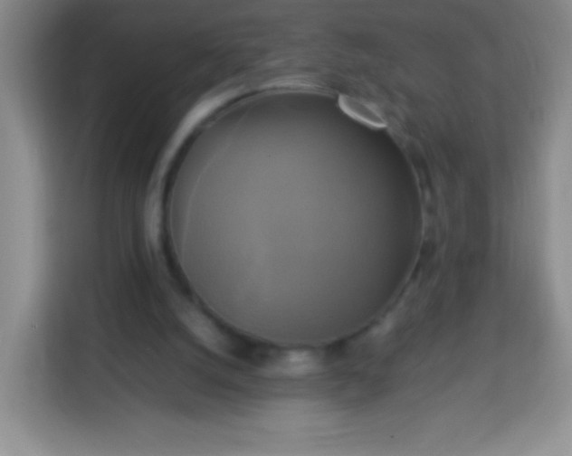 X0000113750056200910071114