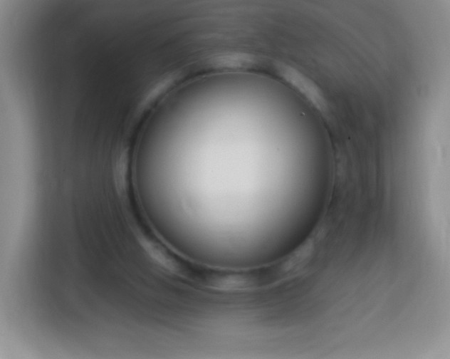 X0000113750058200910071114