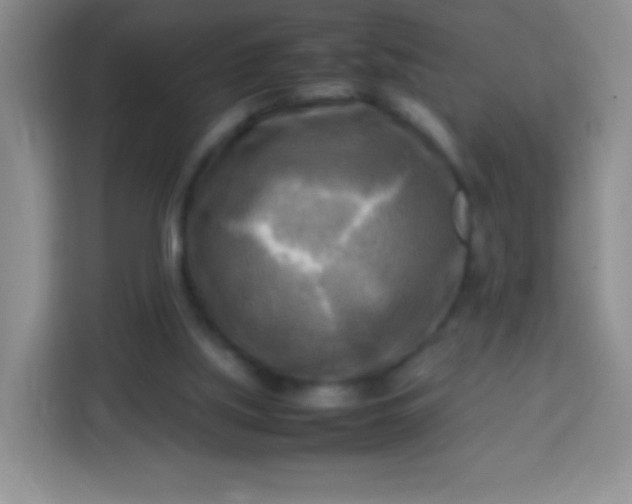 X0000113750059200910071114