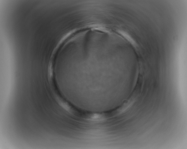 X0000113750060200910071114