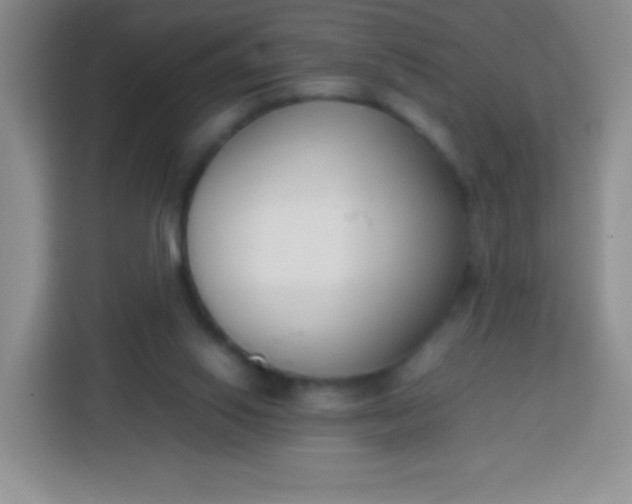 X0000113750062200910071114